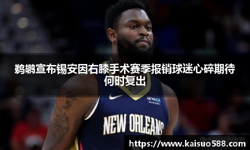 九游娱乐官网